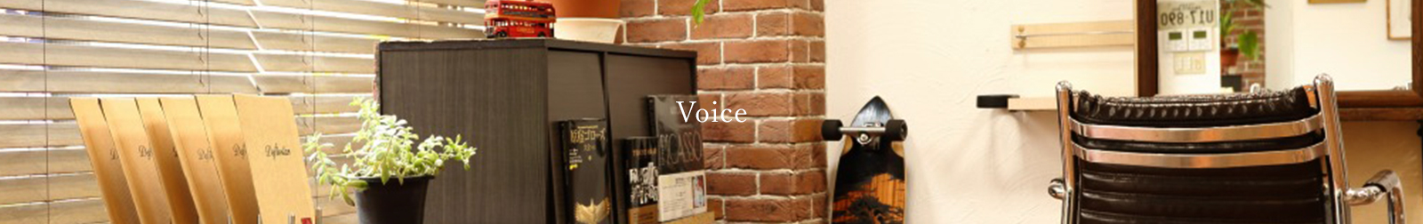 Voice