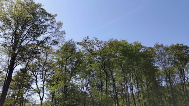 『令和の未確認飛行物体』